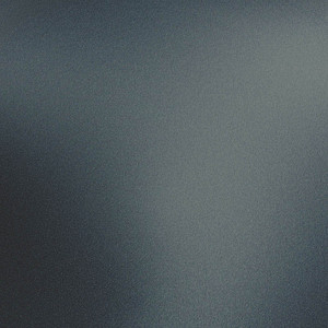 plottiX SpeedFlex Reflective Aufbügelfolie schwarz Flex-Folie 32,0 x 50,0 cm,  1 Rolle