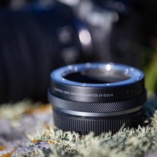 Image 5494a61e7cb4209cc1eaf70a017352b1.jpg Image