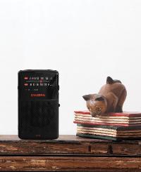 SANGEAN SR-35 Taschenradio Black