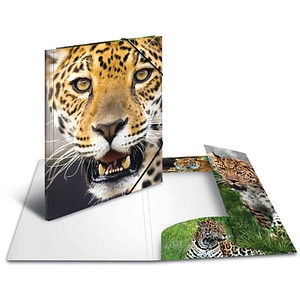 3 HERMA Sammelmappen DIN A4 Leoparden