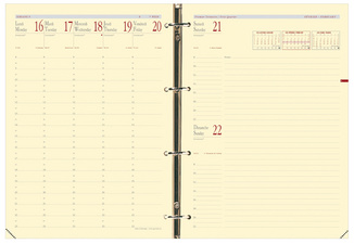 QUO VADIS Recharge "Timer 29 Prestige", 2023/2024, 16 mois