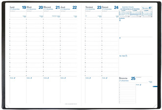 QUO VADIS Recharge pour agenda "Consul", 2025, 210 x 297 mm