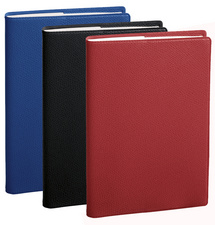 QUO VADIS Agenda "Euréquart", 240 x 300 mm, 2025, assorti