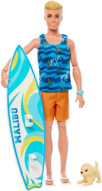 BRB Ken Surf  Doll + Accy