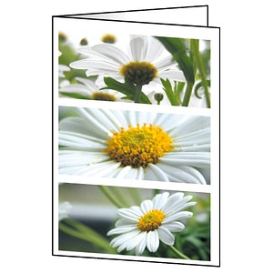 Image 571729.jpg Image