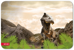 Image 57501365.jpg Image