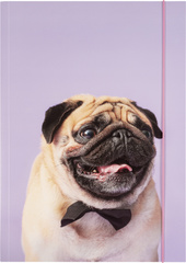 folia Zeichnungsmappe BASIC "Puggy Love", Karton, DIN A3