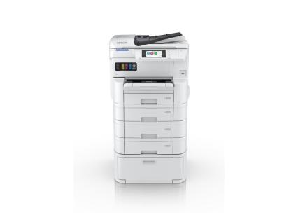 Image 57dd7d38-1750-4cd4-b361-2333019f2fbb.jpg Image