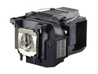 Image 5840c72a-0023-4ce3-abf7-cda8a2405e8b.jpg Image