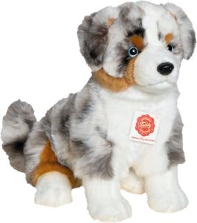 Australian Shepherd sitzend, ca. 30cm