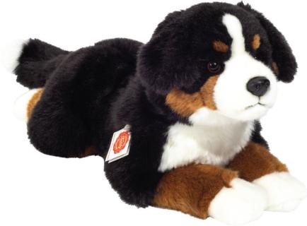 Berner Sennehund liegend, ca. 40cm