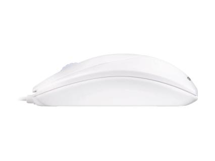 Image 58fcd67b-b810-4559-8d27-a2a69c259bee.jpg Image