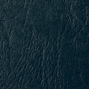 Image 5940010.jpg Image