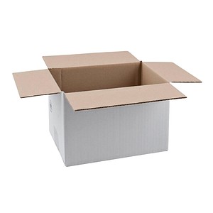 20 Nestler Wellpapp-Faltkartons 1-wellig weiß 27,0 x 18,0 x 18,7 cm Außenmaß