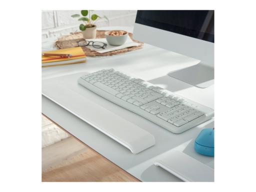 Image 5ae6e0e4-aaf4-4f44-86d3-f45f0255cac9.jpg Image