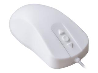 Image 5c1531b0-cb3e-4803-b12b-acddd8825f9f.jpg Image