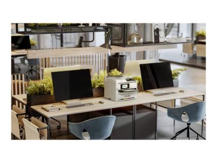 Image 5dcf60a3-4578-4d59-a59a-46815f3f4744.jpg Image