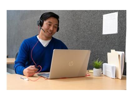 HP Poly Blackwire 8225 Stereo Microsoft Teams Certified USB-C Headset +USB-C/A 
