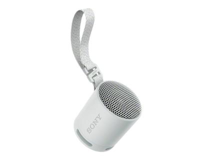SONY Srs-Xb100 - Wireless