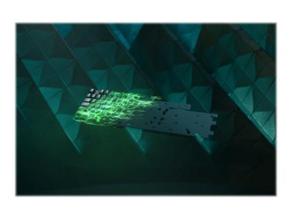 Image 5f3e3e46-262f-4395-a2ae-cb9c4ed42255.jpg Image