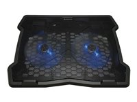 Image 602687c2-54ed-4ed9-95c5-2b2f3ed40c83.jpg Image