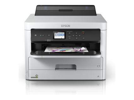 Image 602876f5-7df4-41b5-b933-cad430f756d8.jpg Image