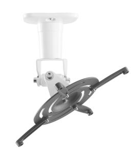 Image 60717467_5319362467.jpg Image