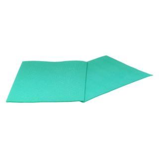 Spültuch/Wischtuch/Schwammtuch 25 x 31 cm, weich gemacht, 10 Stück/Pack | grün 