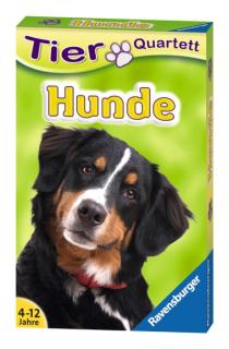 Quartett Hunde