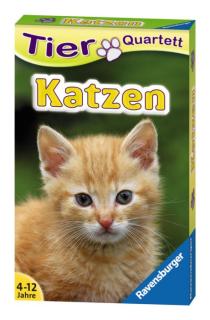 Quartett Katzen