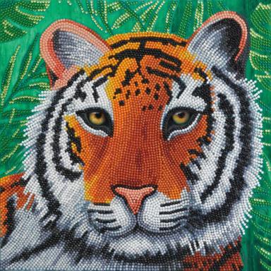 Crystal Art Leinwandbild Tiger 30x30cm