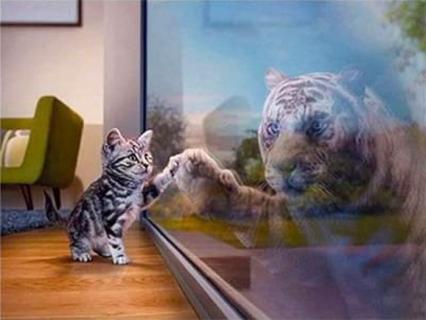 Diamond Painting Kätzchen Tiger 30x40 cm