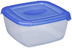 plast team Gefrierdose Polar, 0,95 Liter, blau, quadratisch