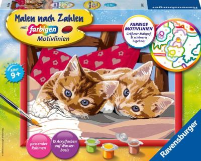 MnZ.Zwei Schmusekätzchen