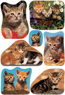 HERMA Sticker DECOR "Katzenfotos