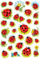 Image 6501215.jpg Image