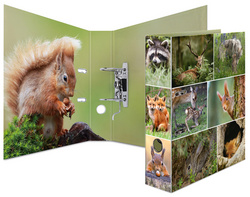 Image 6501573.jpg Image