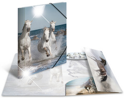 Image 6501597.jpg Image