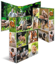 Image 6501763.jpg Image