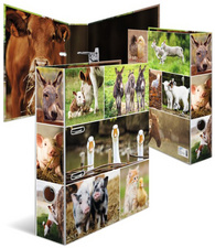 HERMA Ordner A4 Bauernhoftiere