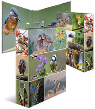 Image 6501765.jpg Image