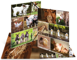 HERMA Eckspannermappe "Bauernhoftiere", Karton, DIN A4