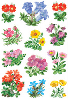 Image 6502407.jpg Image