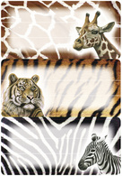 Image 6502808.jpg Image