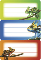 Image 6503315.jpg Image