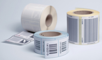 Image 6503471.jpg Image