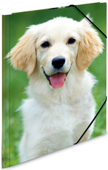 HERMA Eckspannermappe "Hunde", aus PP, DIN A4 Maße: (B)244 x (T)4 x (H)320 mm, 