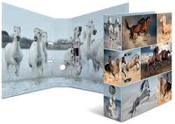 Image 6504017.jpg Image