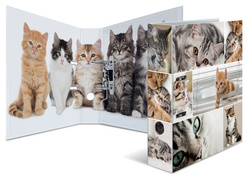 Image 6504019.jpg Image