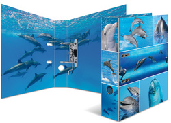 Image 6504020.jpg Image